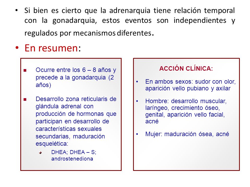 Como es posible adelgazar en una semana sin cargamentos físicos